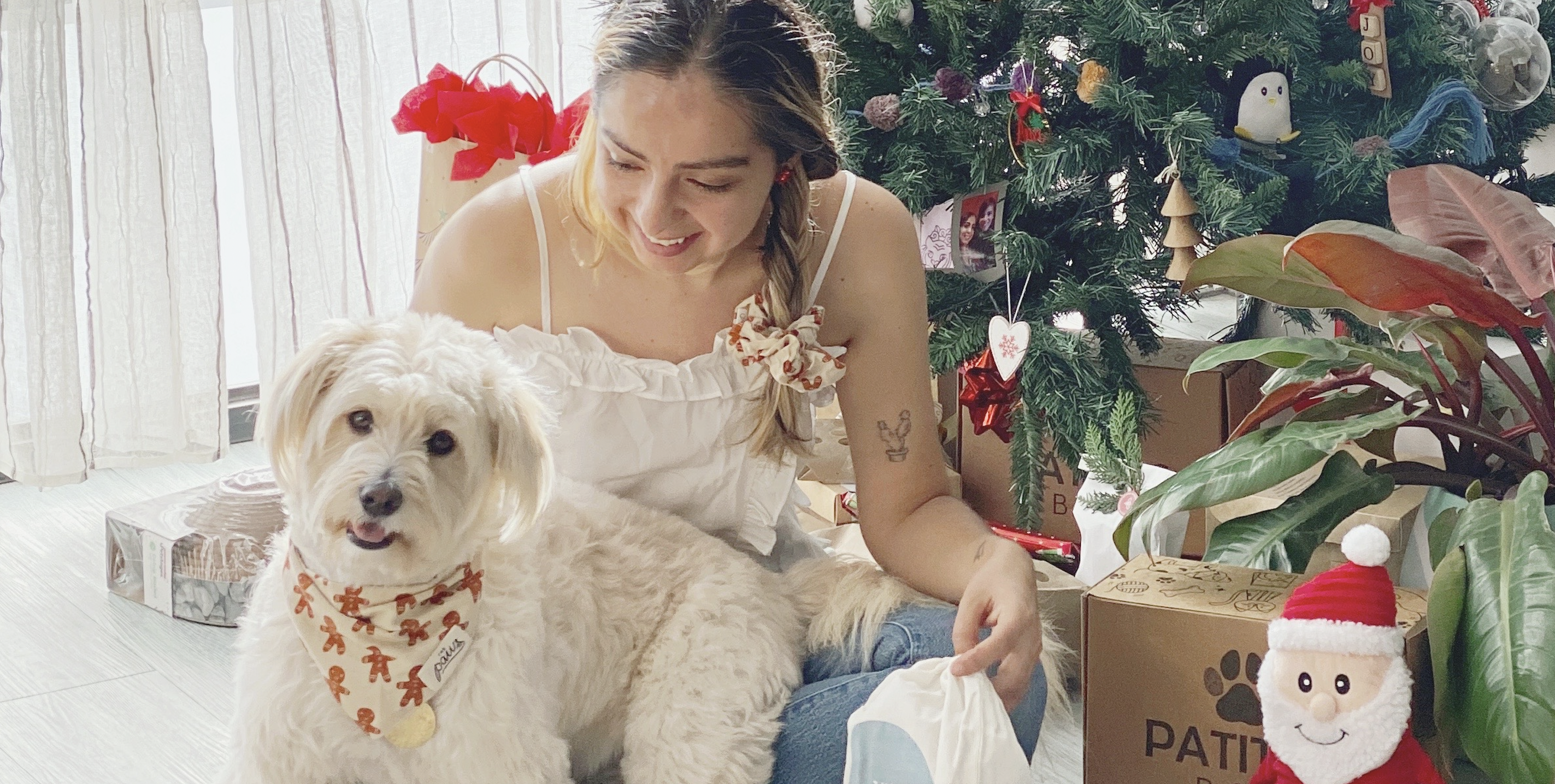 Young woman and fluffy white dog sitting near a christmas tree with presents