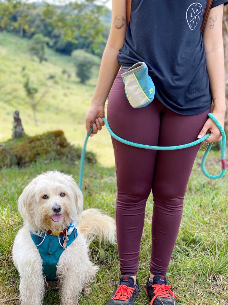 dog and her human walking on a leash in the mountain